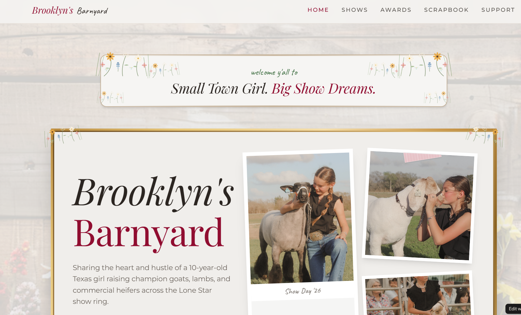 Brooklyn's Barnyard youth livestock booster club website preview