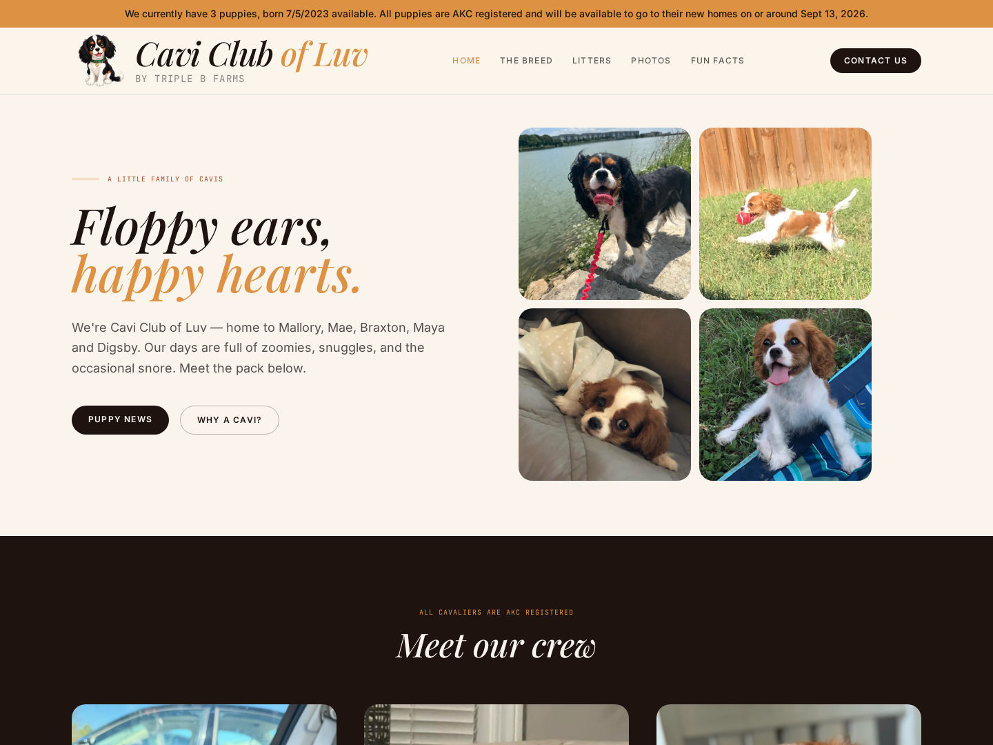 Cavi Club of Luv website preview